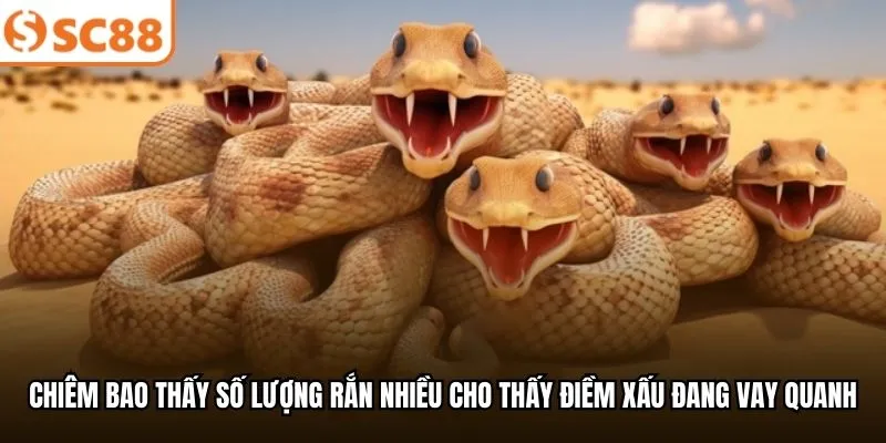 Chiêm bao thấy số lượng rắn nhiều cho thấy điềm xấu đang vay quanh