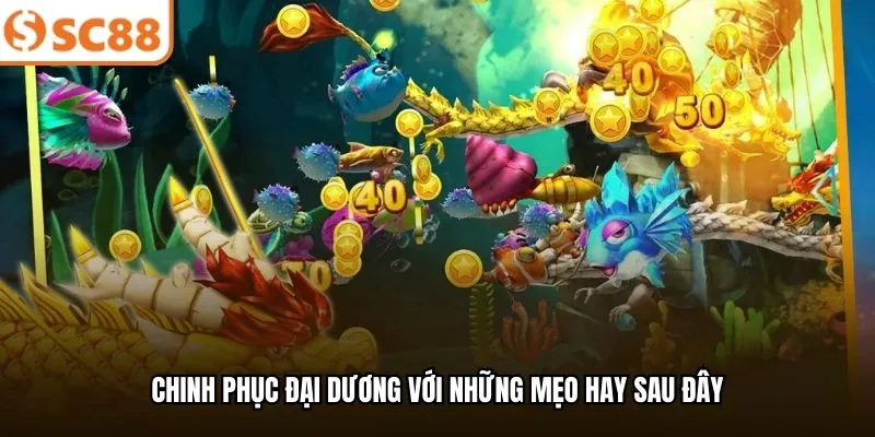 Chinh phục đại dương với những mẹo hay sau đây