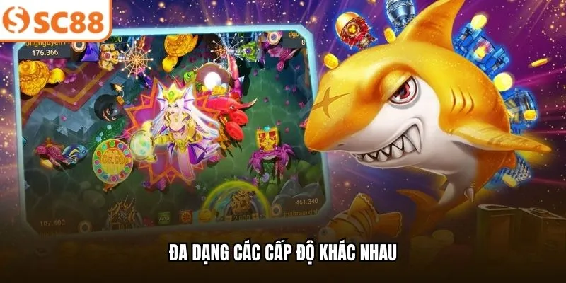 Đa dạng các cấp độ khác nhau