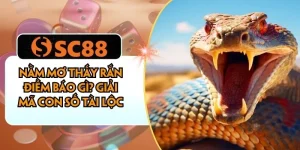 Nằm Mơ Thấy Rắn Điềm Báo Gì? Giải Mã Con Số Tài Lộc