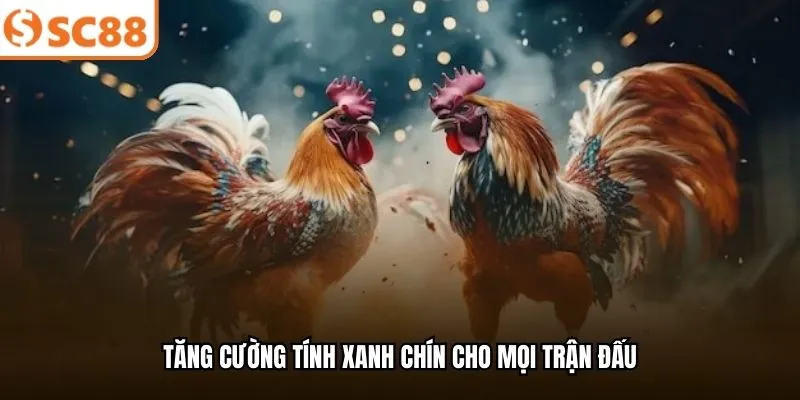 Tăng cường tính xanh chín cho mọi trận đấu